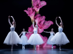 «Моя семья - моя крепость» праздничный концерт, посвященный Дню семьи, любви и верности