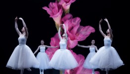 «Моя семья - моя крепость» праздничный концерт, посвященный Дню семьи, любви и верности