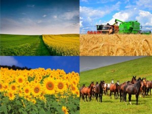 Час краеведа «Башкортостан - земля мира и добра»