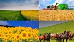 Час краеведа «Башкортостан - земля мира и добра»