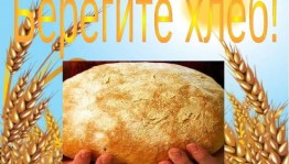 Познавательная беседа «Как хлеб на стол пришел?»