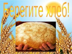 Познавательная беседа «Как хлеб на стол пришел?»