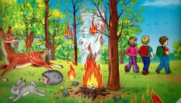 Беседа «Пожарная безопасность»