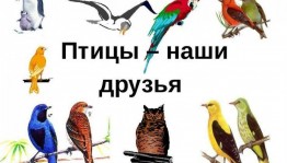 познавательный час «Наши любимые хвостолапые»