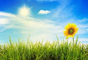 Игровая программа «Пусть всегда будет солнце»