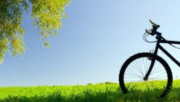 Час рассуждения «Живи без вредных привычек»