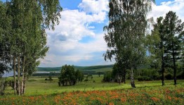 Краеведческая викторина «Мой край отеческий, моя глубинка»