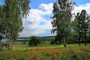 Краеведческая викторина «Мой край отеческий, моя глубинка»