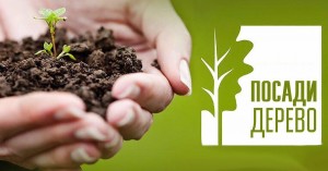 Акция «Посади дерево».