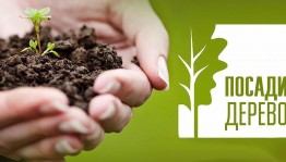 Акция «Посади дерево».