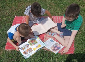 Экологический час «Мой ласковый и нежный»