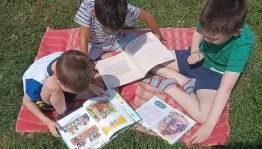 Экологический час «Мой ласковый и нежный»