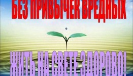 Профилактическая программа«Без вредных привычек жить на свете здорово!»