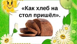 Беседа «Как хлеб на стол пришел»