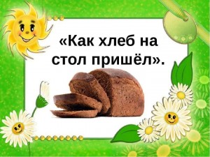 Беседа «Как хлеб на стол пришел»