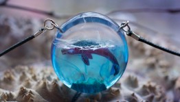 «Чудо из эпоксидной смолы»