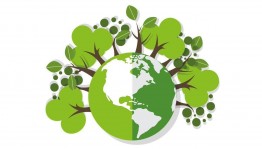 Экологическая акция «Я дышу», в рамках проекта «Культура для школьников»