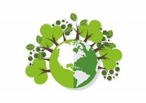 Экологическая акция «Я дышу», в рамках проекта «Культура для школьников»