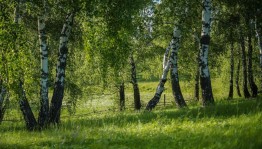 Программа «Малой– Родины страницы»