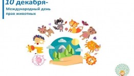«Мы все соседи по планете»