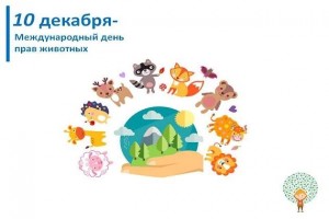 «Мы все соседи по планете»
