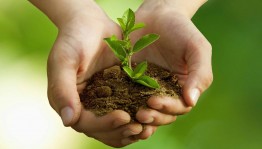 Лекция: «Чистая экология»