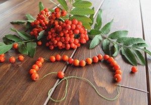 Мастер–класс «Бусы из рябины»