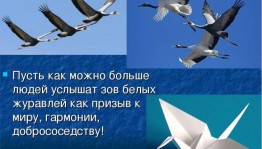 «Летят в бессмертие журавли»–час памяти.