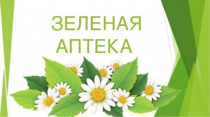Беседа«Зеленая аптека»
