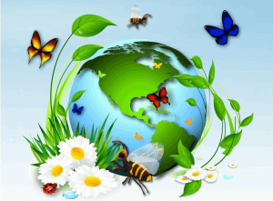 Викторина «Знатоки родного края»