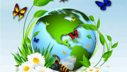 Викторина «Знатоки родного края»