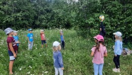 «Познаём природу родного края»