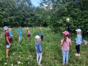 «Познаём природу родного края»