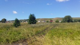 Викторина«Аптека под ногами»