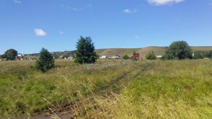 Викторина«Аптека под ногами»