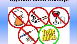 Час профилактики вредных привычек «Стоп! Опасно для жизни!»