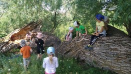 Поход в лес «На природу!»