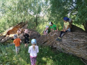 Поход в лес «На природу!»