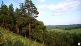 Библио–такси «Любимые места родного края»