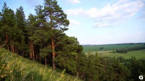 Библио–такси «Любимые места родного края»