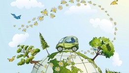 Экологическое путешествие «По лесной тропе родного края»