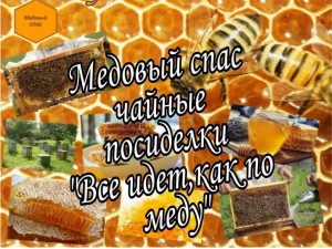 Культурно-познавательное мероприятие «Успенский пост»