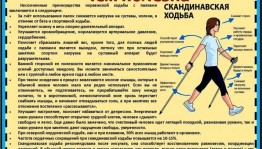 Час полезной информации « Как правильно заниматься скандинавской ходьбой»