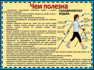 Час полезной информации « Как правильно заниматься скандинавской ходьбой»