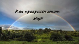 Развивайка «Как прекрасен этот мир»