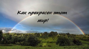 Развивайка «Как прекрасен этот мир»