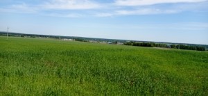 Познавательно-игровая программа «Всему начало здесь, в краю моем родном»