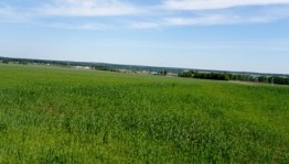 Познавательно-игровая программа «Всему начало здесь, в краю моем родном»