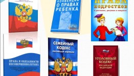 Правовой час «Жить по закону»