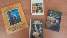 Тематический час «Медовый Башкортостан»